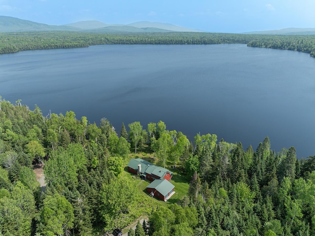 142 Gull Pond Rd, Rangeley, ME 04970 - photo 1