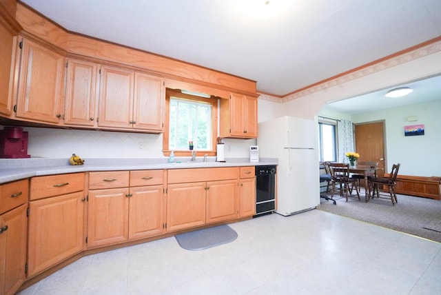12 Davis Dr, Veazie, ME 04401 - kitchen featuring freestanding refrigerator, dishwasher, light countertops, and light floors