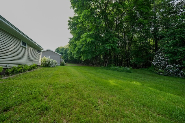 12 Davis Dr, Veazie, ME 04401 - view of green lawn