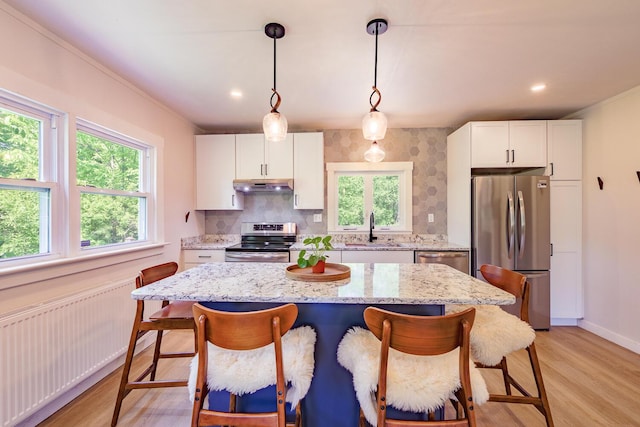 221 Lincolnville Ave, Belfast, ME 04915 - kitchen featuring stainless steel appliances, under cabinet range hood, light wood finished floors, a breakfast bar, and white cabinetry