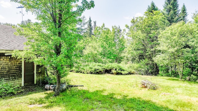 221 Lincolnville Ave, Belfast, ME 04915 - view of grassy yard