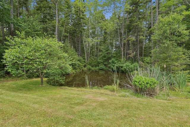 27 Libby Ln, Brunswick, ME 04011 - view of grassy yard with a view of trees
