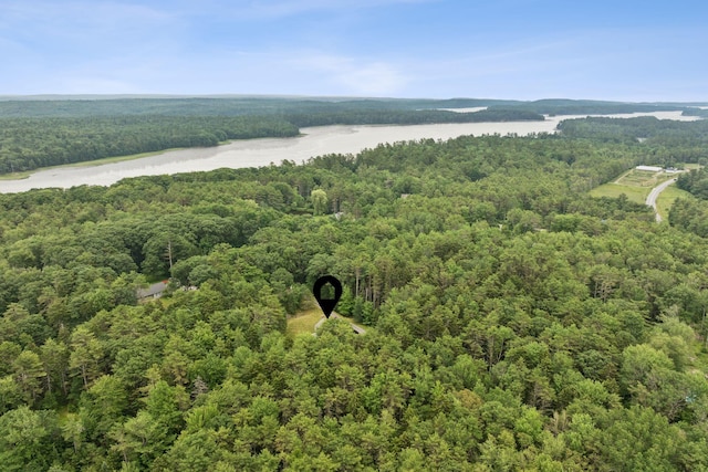 27 Libby Ln, Brunswick, ME 04011 - aerial view of a forest and a large body of water