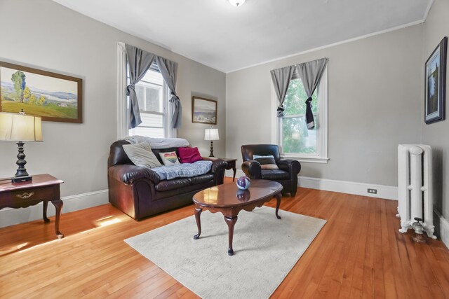 12 E Summer St, Bangor, ME 04401 - photo 33