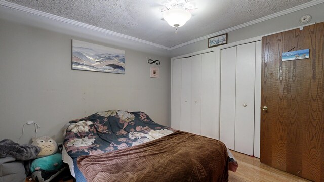 5 Wilson St, Lewiston, ME 04240 - bedroom with two closets, light wood-style flooring, crown molding, and a textured ceiling