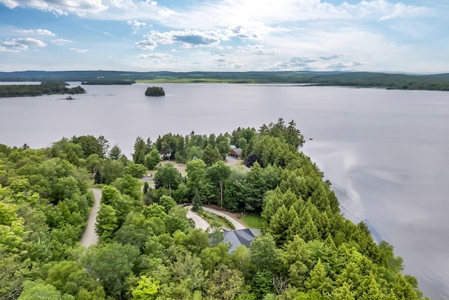 1309 Great Moose Dr, Hartland, ME 04943 - photo 13