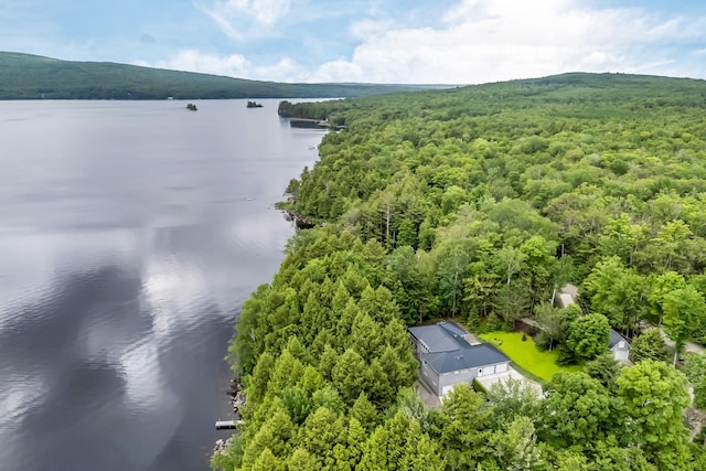 1309 Great Moose Dr, Hartland, ME 04943 - photo 14