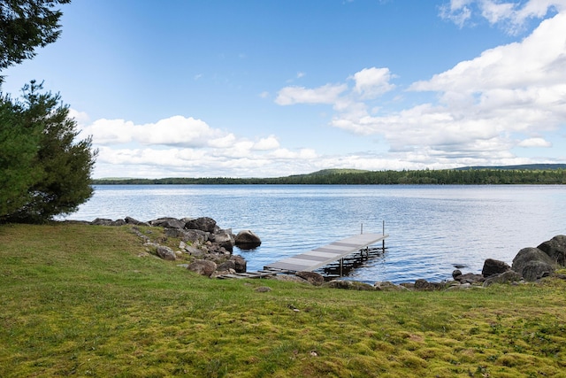 1309 Great Moose Dr, Hartland, ME 04943 - photo 92
