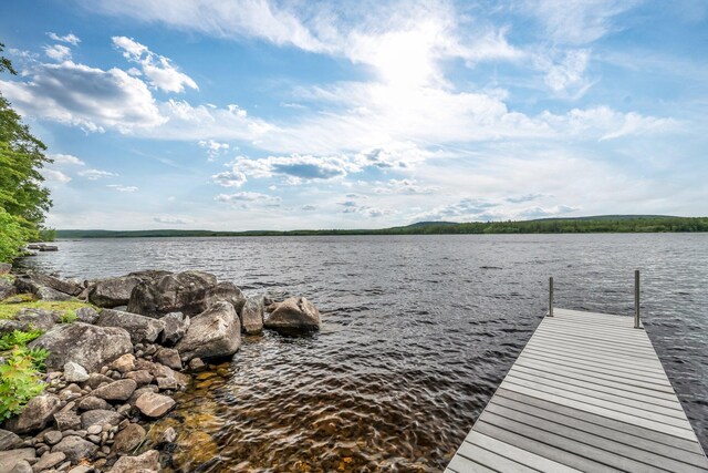 1309 Great Moose Dr, Hartland, ME 04943 - photo 94
