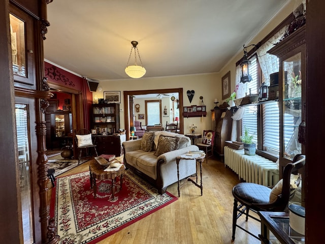 164 Lancey St, Pittsfield, ME 04967 - living area with ornamental molding, wood-type flooring, and radiator