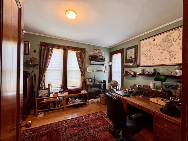 164 Lancey St, Pittsfield, ME 04967 - office featuring healthy amount of natural light, wood finished floors, and crown molding
