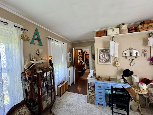 164 Lancey St, Pittsfield, ME 04967 - office featuring ornamental molding and wood finished floors