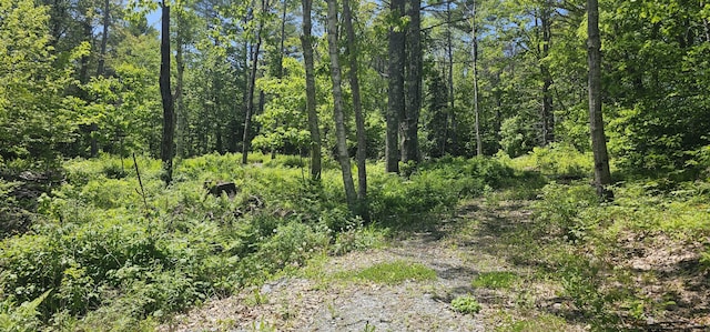 LOT22 S Shore Dr, Warren, ME 04864