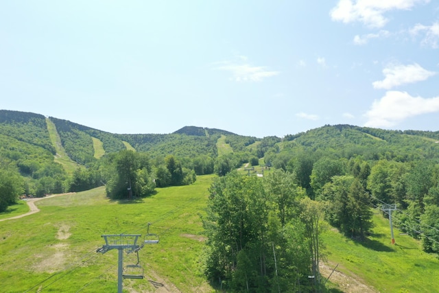 8 Fall Line Dr Unit N211, Newry, ME 04261 - mountain view with a forest