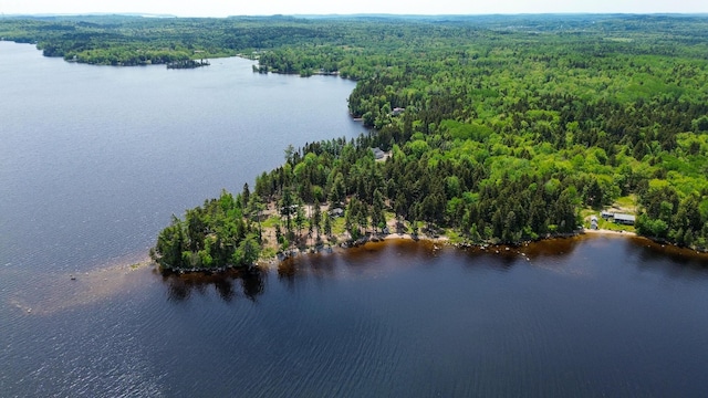 21 Jung Rd, East Machias, ME 04630 - bird's eye view of a forest and a large body of water