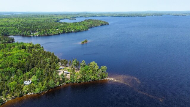 21 Jung Rd, East Machias, ME 04630 - drone / aerial view of a nearby body of water and a forest