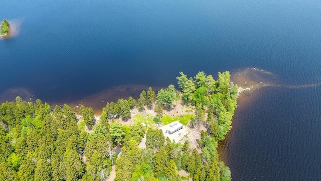 21 Jung Rd, East Machias, ME 04630 - bird's eye view of a large body of water