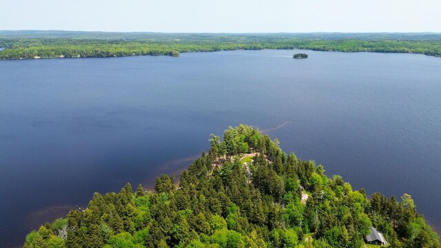 21 Jung Rd, East Machias, ME 04630 - bird's eye view of a heavily wooded area and a nearby body of water