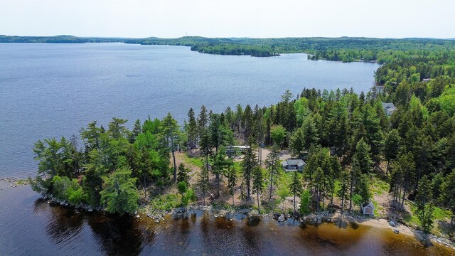 21 Jung Rd, East Machias, ME 04630 - water view featuring a forest