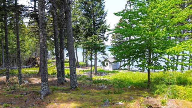 21 Jung Rd, East Machias, ME 04630 - view of yard