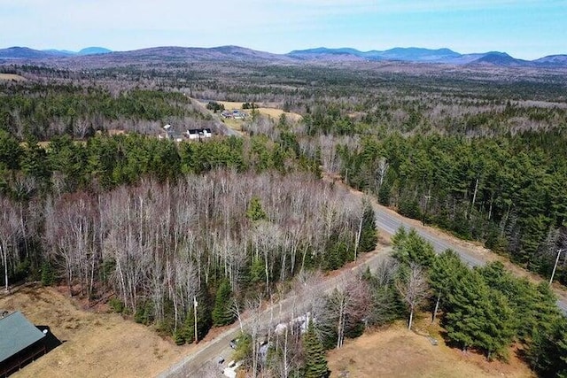 3 Ledge Dr, Greenville, ME 04441
