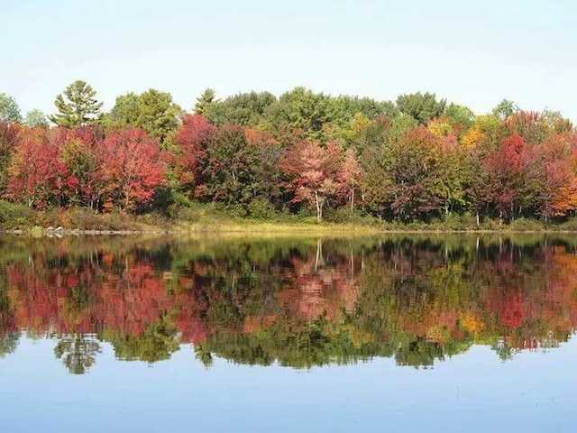 32 Lake Como Dr, Harmony, ME 04942 - water view with a forest