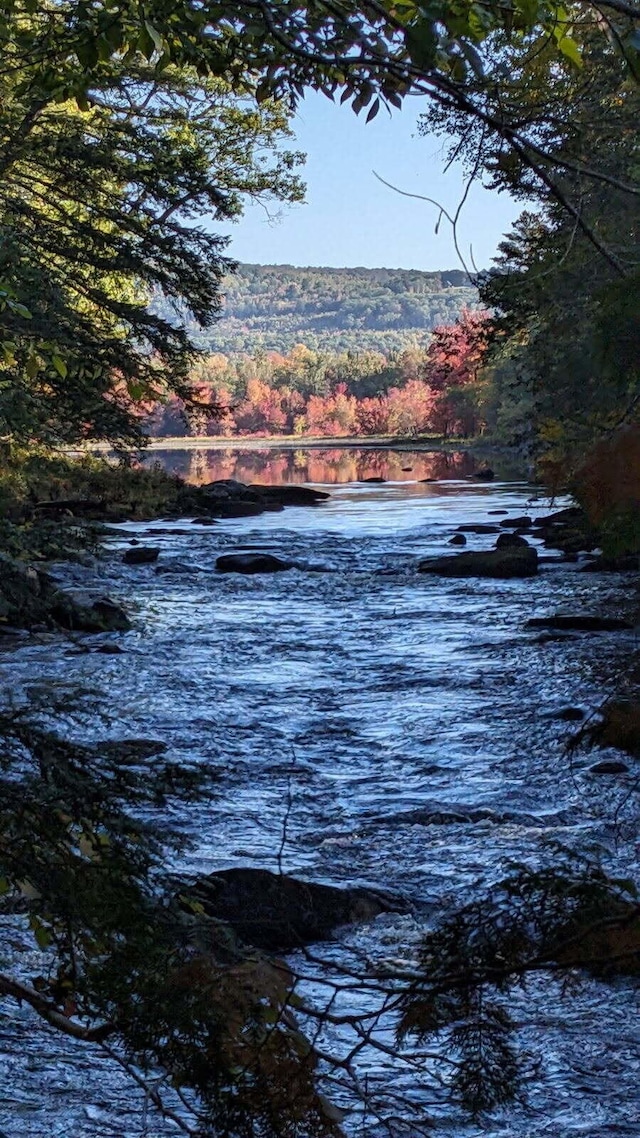 32 Lake Como Dr, Harmony, ME 04942 - water view featuring a forest