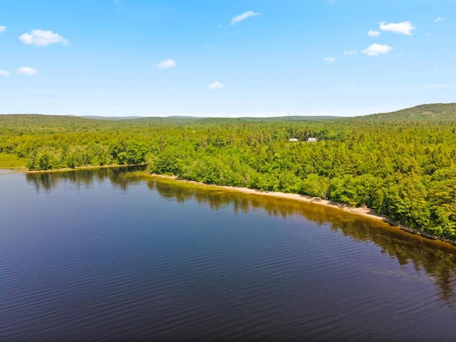 32 Lake Como Dr, Harmony, ME 04942 - aerial view of a forest and a nearby body of water