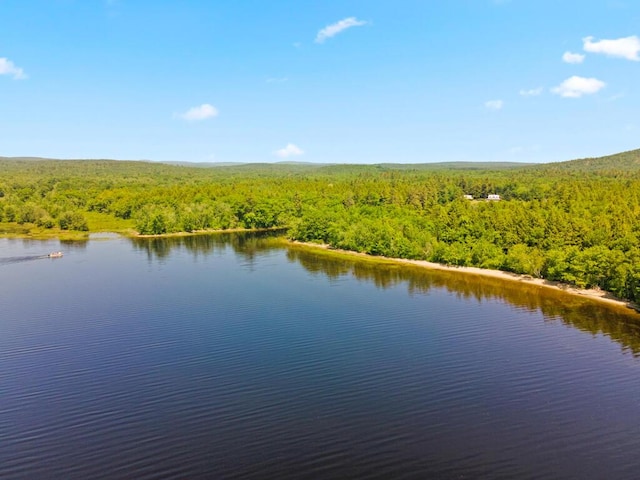 32 Lake Como Dr, Harmony, ME 04942 - water view featuring a forest