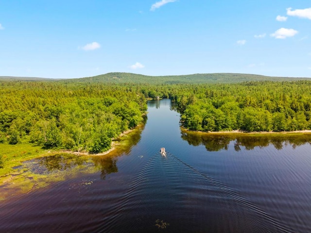 32 Lake Como Dr, Harmony, ME 04942 - drone / aerial view of a forest and a large body of water
