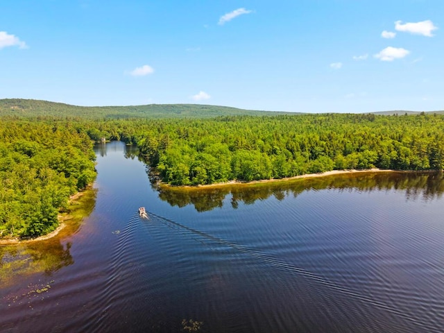32 Lake Como Dr, Harmony, ME 04942 - water view with a heavily wooded area