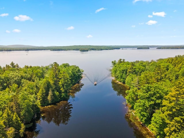 32 Lake Como Dr, Harmony, ME 04942 - water view