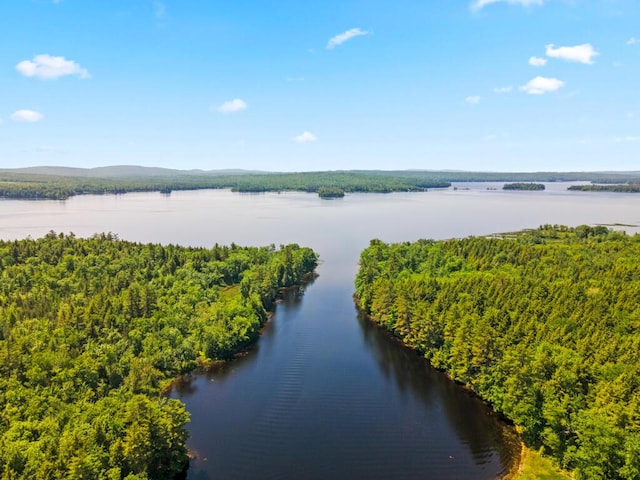 32 Lake Como Dr, Harmony, ME 04942 - water view featuring a heavily wooded area