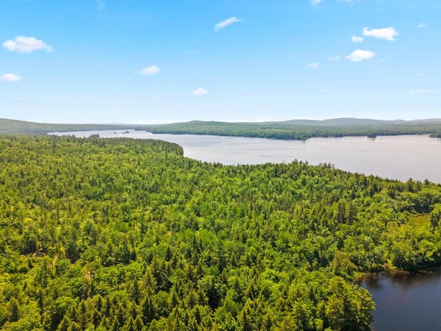 32 Lake Como Dr, Harmony, ME 04942 - water view with a forest