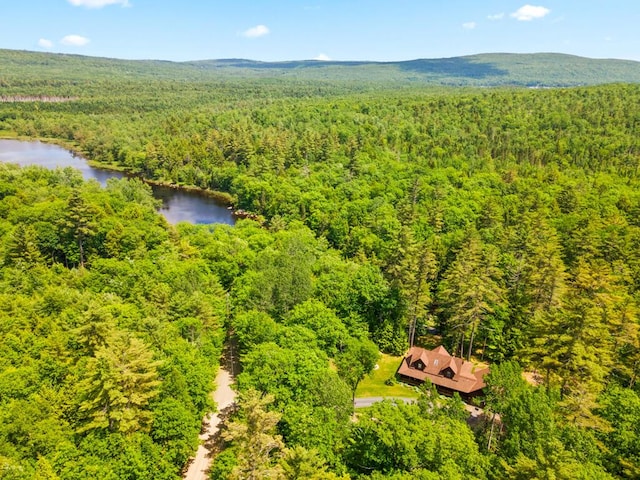 32 Lake Como Dr, Harmony, ME 04942 - bird's eye view of a forest and a nearby body of water