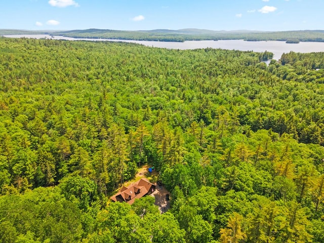 32 Lake Como Dr, Harmony, ME 04942 - view from above of property with a heavily wooded area and a nearby body of water