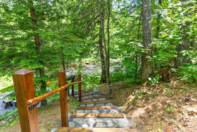 32 Lake Como Dr, Harmony, ME 04942 - view of yard
