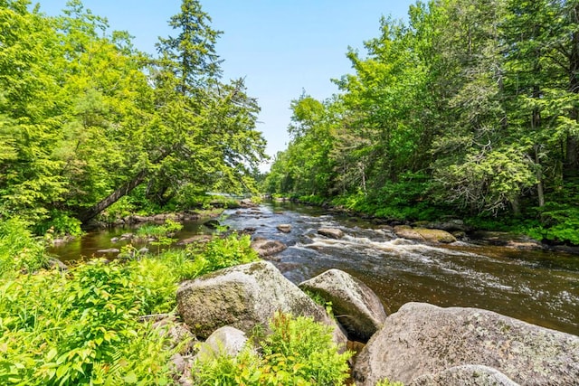 32 Lake Como Dr, Harmony, ME 04942 - water view featuring a heavily wooded area