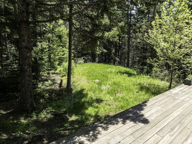 30 Wilkinson Ln, Machiasport, ME 04655 - view of yard featuring a wooded view and a wooden deck