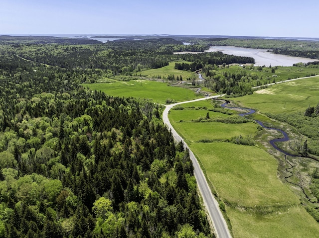 30 Wilkinson Ln, Machiasport, ME 04655 - aerial view of property and surrounding area featuring a forest and a nearby body of water