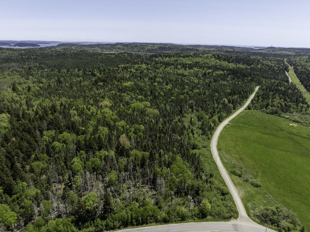30 Wilkinson Ln, Machiasport, ME 04655 - drone / aerial view of a heavily wooded area