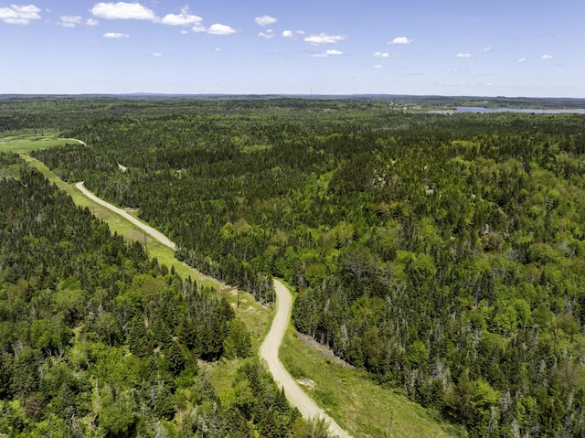 30 Wilkinson Ln, Machiasport, ME 04655 - view of property location with a heavily wooded area