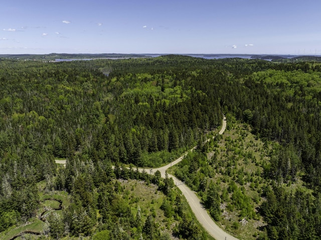 30 Wilkinson Ln, Machiasport, ME 04655 - aerial view of property's location featuring a forest