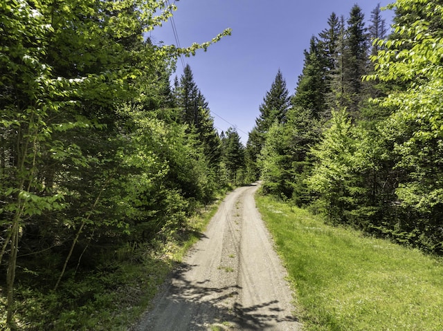 30 Wilkinson Ln, Machiasport, ME 04655 - view of dirt / gravel road with a forest view