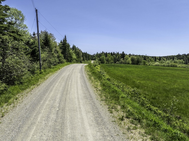 30 Wilkinson Ln, Machiasport, ME 04655 - view of dirt / gravel road