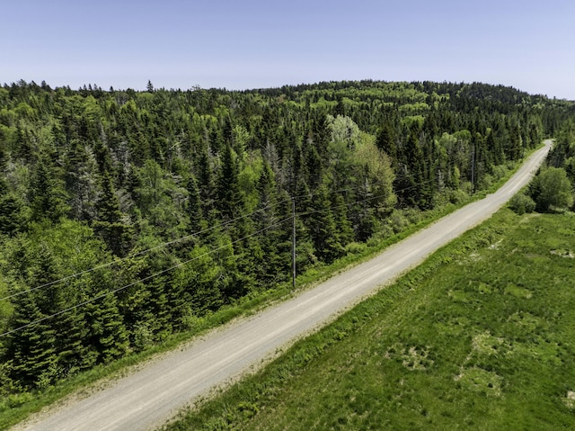 30 Wilkinson Ln, Machiasport, ME 04655 - drone / aerial view of a heavily wooded area