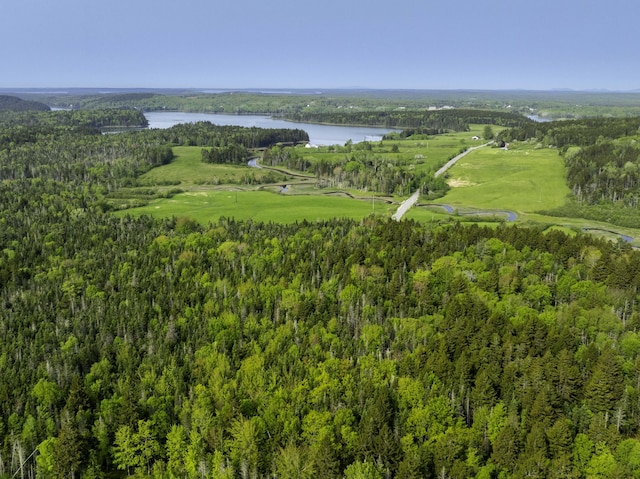 30 Wilkinson Ln, Machiasport, ME 04655 - view of property location with a large body of water and a forest