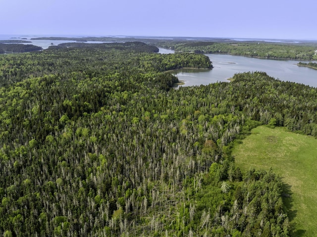30 Wilkinson Ln, Machiasport, ME 04655 - aerial view of property's location featuring a forest and a large body of water