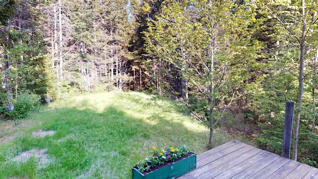 30 Wilkinson Ln, Machiasport, ME 04655 - view of yard