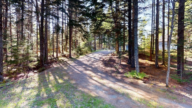 30 Wilkinson Ln, Machiasport, ME 04655 - view of road featuring a forest view